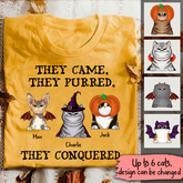 The Cat Squad Came Purred And Conquered Funny Halloween Personalized T-Shirt TS-HR216